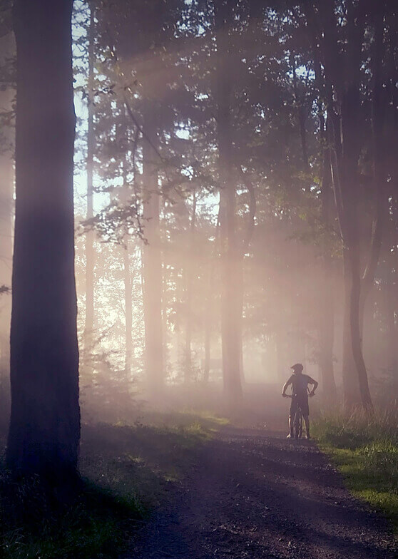 Person mit Fahrrad auf nebligem Waldweg.
