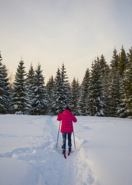 Rückenansicht einer Person beim Skilanglauf im Winterwald.