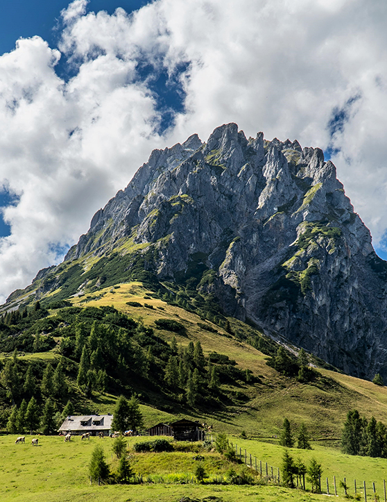 Felsberg über grüner Alm mit Hütten und Kühen.