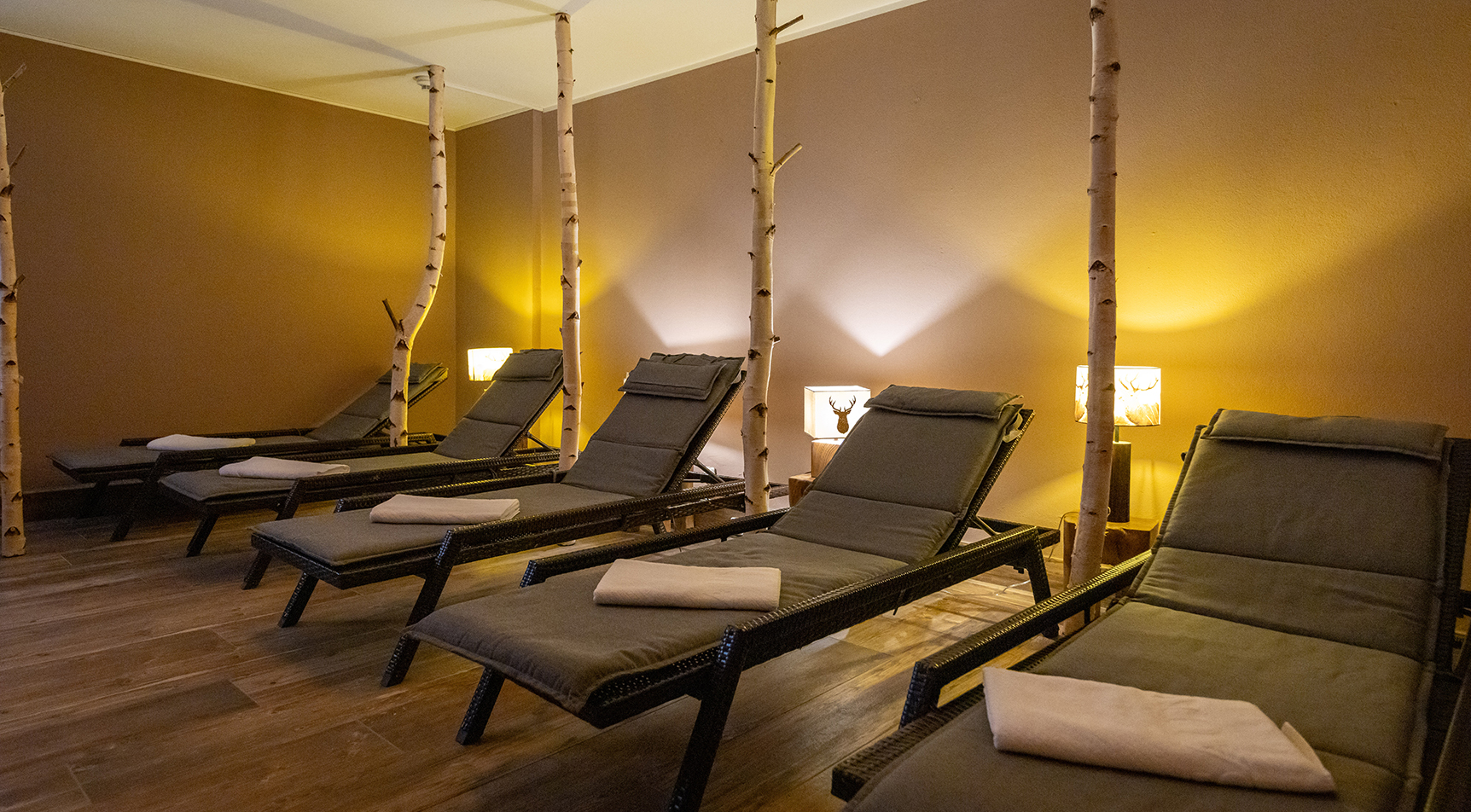 Fünf Liegen mit Handtüchern, Birkenstämmen, Lampen.
